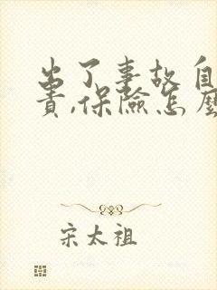 出了事故自己全责,保险怎么理赔