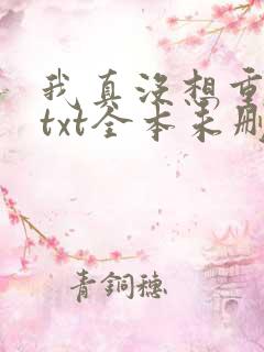 我真没想重生啊txt全本未删减下载
