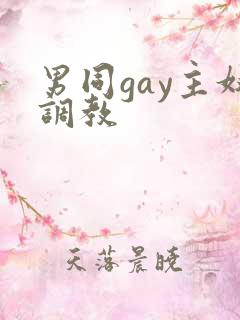 男同gay主奴调教