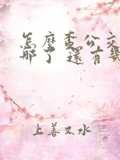 怎么查公交车到哪了 还有几站到