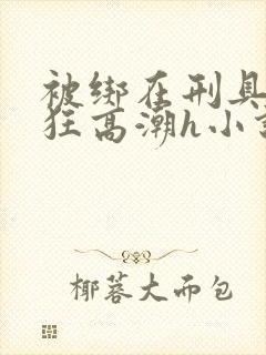 被绑在刑具上疯狂高潮h小说