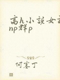 高h小说女调教np群p