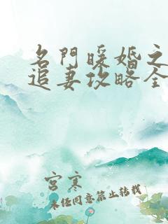名门暖婚之权爷追妻攻略全文下载
