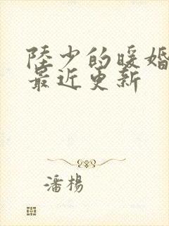 陆少的暖婚新妻最近更新