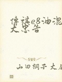 传祺e8油混十大忠告