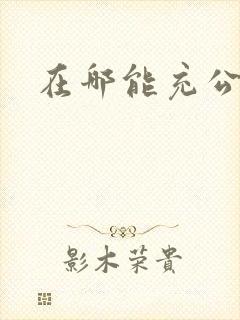 在哪能充公交卡