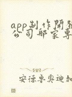 app制作开发公司哪家专业