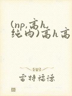 (np,高h,纯肉)高h高辣bl