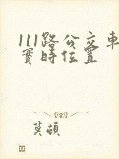 111路公交车实时位置
