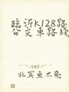 临沂k128路公交车路线图