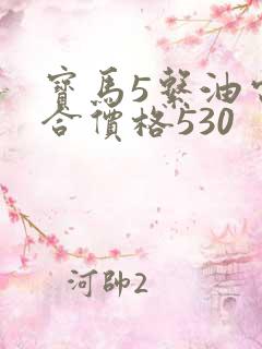 宝马5系油电混合价格530 宝马5系油电混合价格530