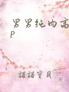 男男纯肉高hnp