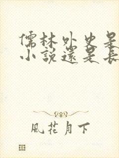 儒林外史是短篇小说还是长篇小说