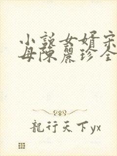 小说女婿宋阳岳母陈丽珍全文阅读