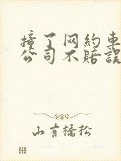 撞了网约车保险公司不赔误工费吗