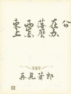东西落在公交车上怎么办