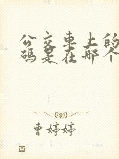 公交车上的乘车码是在哪个位置扫