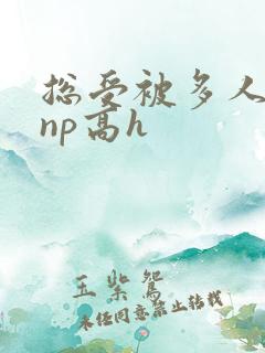 总受被多人玩弄np高h