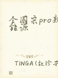 全国宋pro新能源 全国宋pro新能源