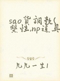 sao货调教(双性,np道具
