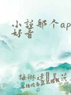 小说那个app好看