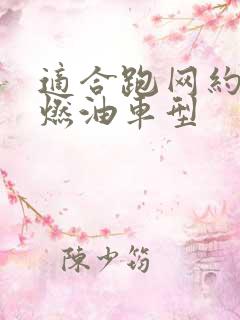适合跑网约车的燃油车型