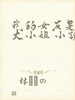 我的女友是恶劣大小姐 小说