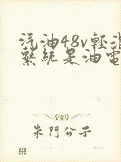 汽油48v轻混系统是油电混合吗
