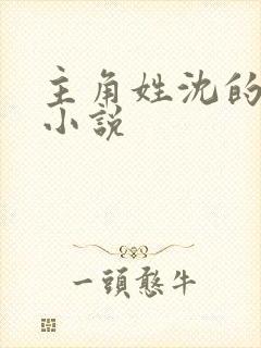 主角姓沈的修真小说