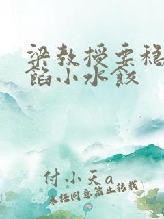 梁教授要稳住肉馅小水饺