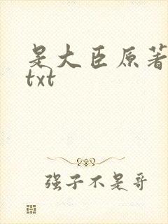 是大臣原著小说txt