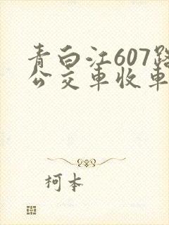 青白江607路公交车收车时间