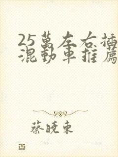 25万左右插电混动车推荐