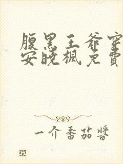 腹黑王爷穿越妃安晓枫免费阅读