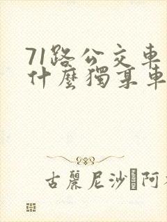 71路公交车为什么独享车道