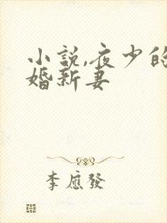 小说,夜少的二婚新妻