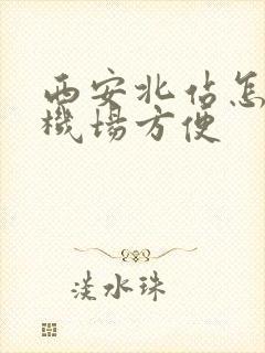 西安北站怎么去机场方便