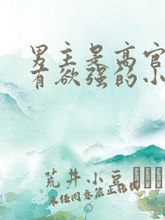 男主是高官且占有欲强的小说