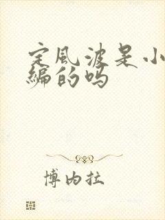定风波是小说改编的吗