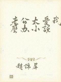 老公太爱我了怎么办小说
