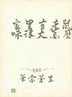 家里有老鼠尿骚味很大怎么办 家里有老鼠尿骚味很大怎么办