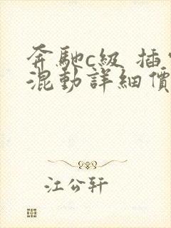 奔驰c级 插电混动详细价格