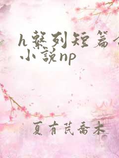 h系列短篇合集小说np