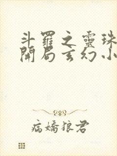 斗罗之灵珠神剑开局玄幻小猪小说精校版