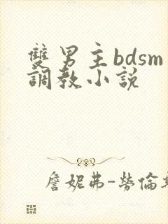 双男主bdsm调教小说