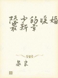 陆少的暖婚新妻最新章