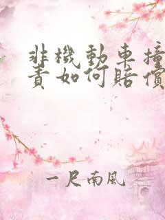 非机动车撞人全责如何赔偿