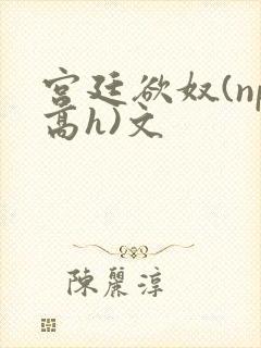 宫廷欲奴(np高h)文 宫廷欲奴(np高h)文