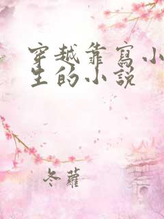 穿越靠写小说谋生的小说