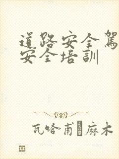 道路安全驾驶员安全培训